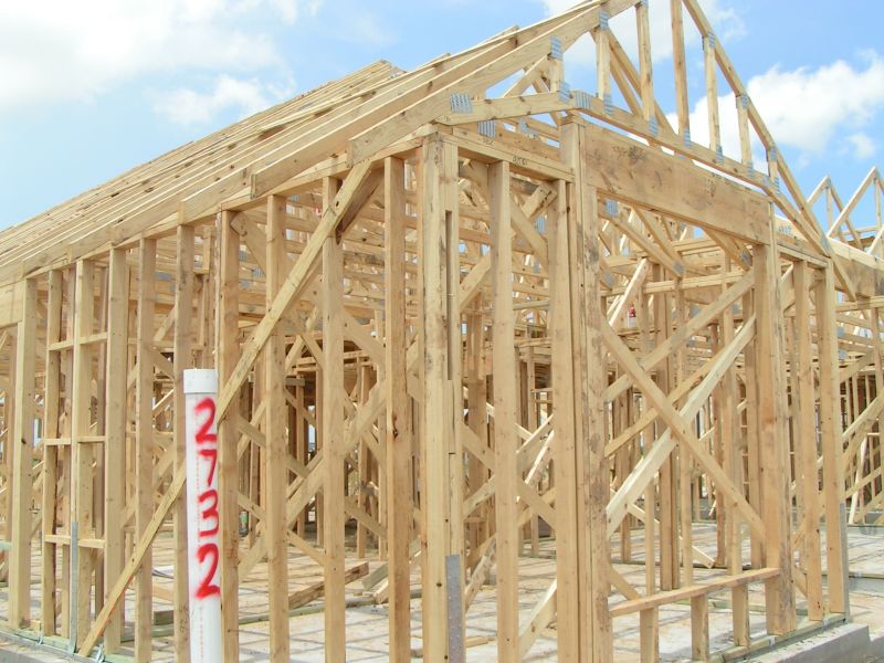 Structural Framing Close-up